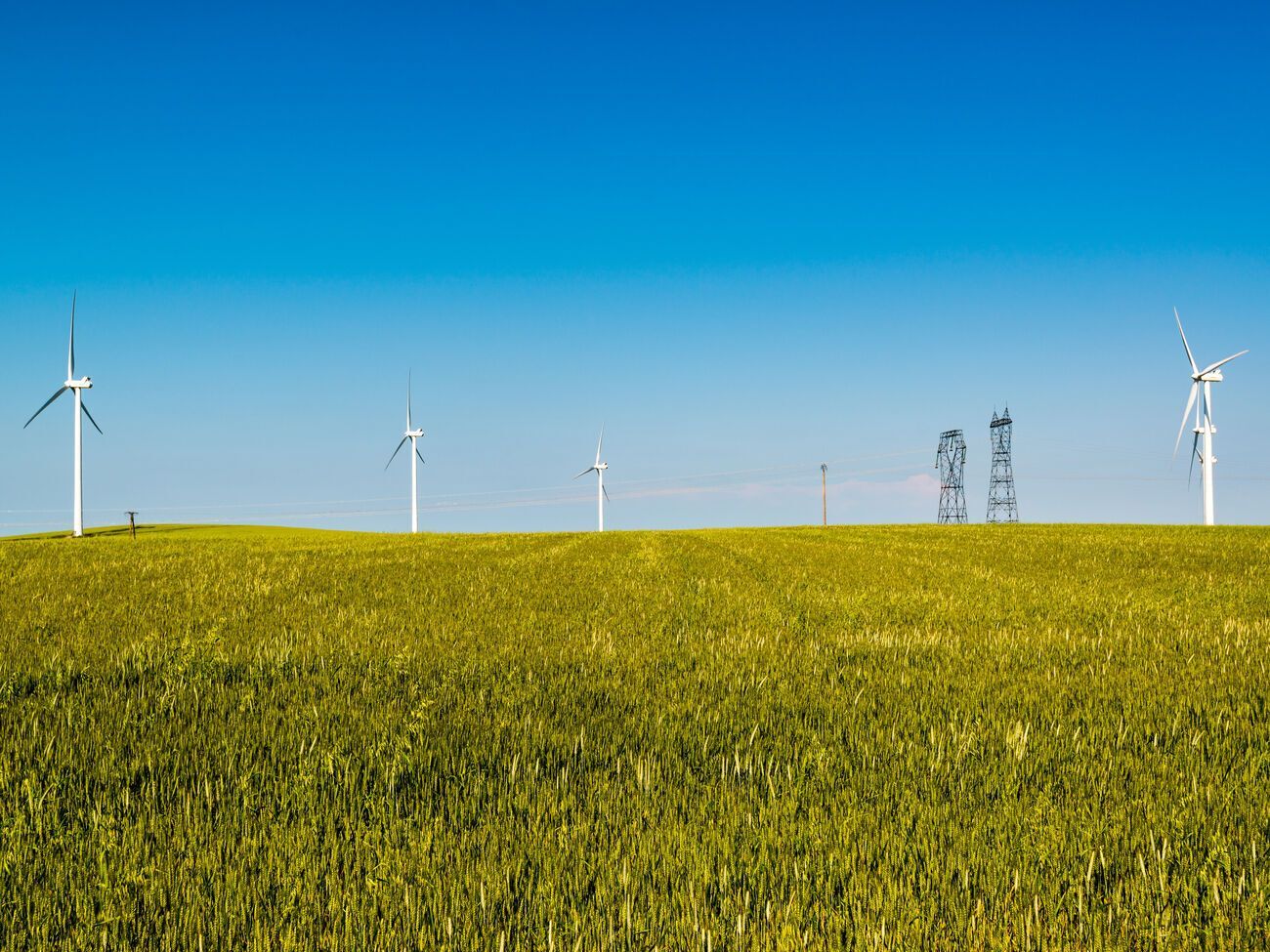 В REDD сравнили прибыльность ценных бумаг украинских компаний, в частности ДТЭК ВИЭ, до и после блокирования платежей