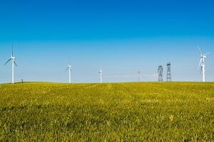 У REDD порівняли прибутковість цінних паперів українських компаній, зокрема ДТЕК ВДЕ, до та після блокування платежів