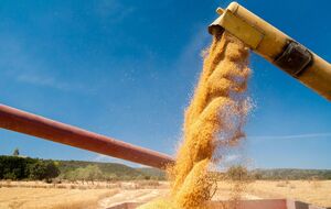 По информации НАБУ, фигуранты производства, в том числе бывшие руководители госкомпаний по закупке зерна, могли присвоить 157 млн грн за период 2011–2017 годов