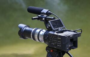 Государственный канал заказал производство "весьма жесткого шоу" о политиках и их помощниках