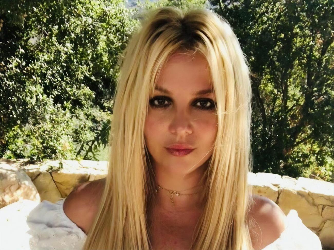 Підписники припустили, що Спірс годує з пляшечки цуценя, кошеня, порося, курку або ляльку