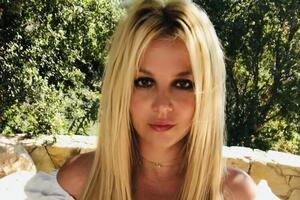 Підписники припустили, що Спірс годує з пляшечки цуценя, кошеня, порося, курку або ляльку