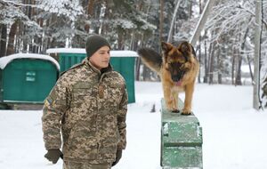 Обучение кинологов длилось около шести месяцев