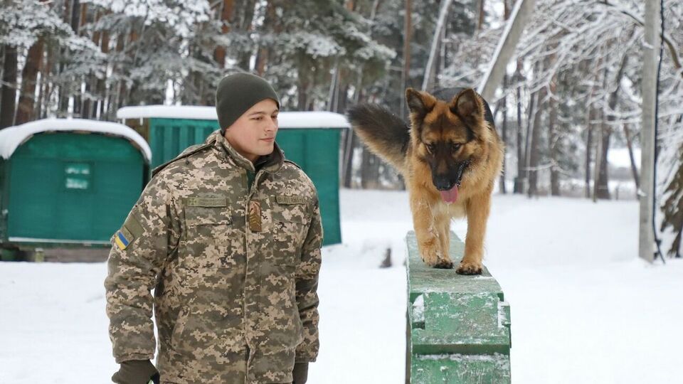 Обучение кинологов длилось около шести месяцев