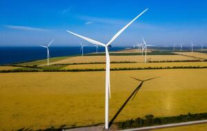 Отсутствие решения вопроса будет иметь гораздо более широкий эффект для государства, чем прямое влияние на DTEK Renewables, заявили юристы