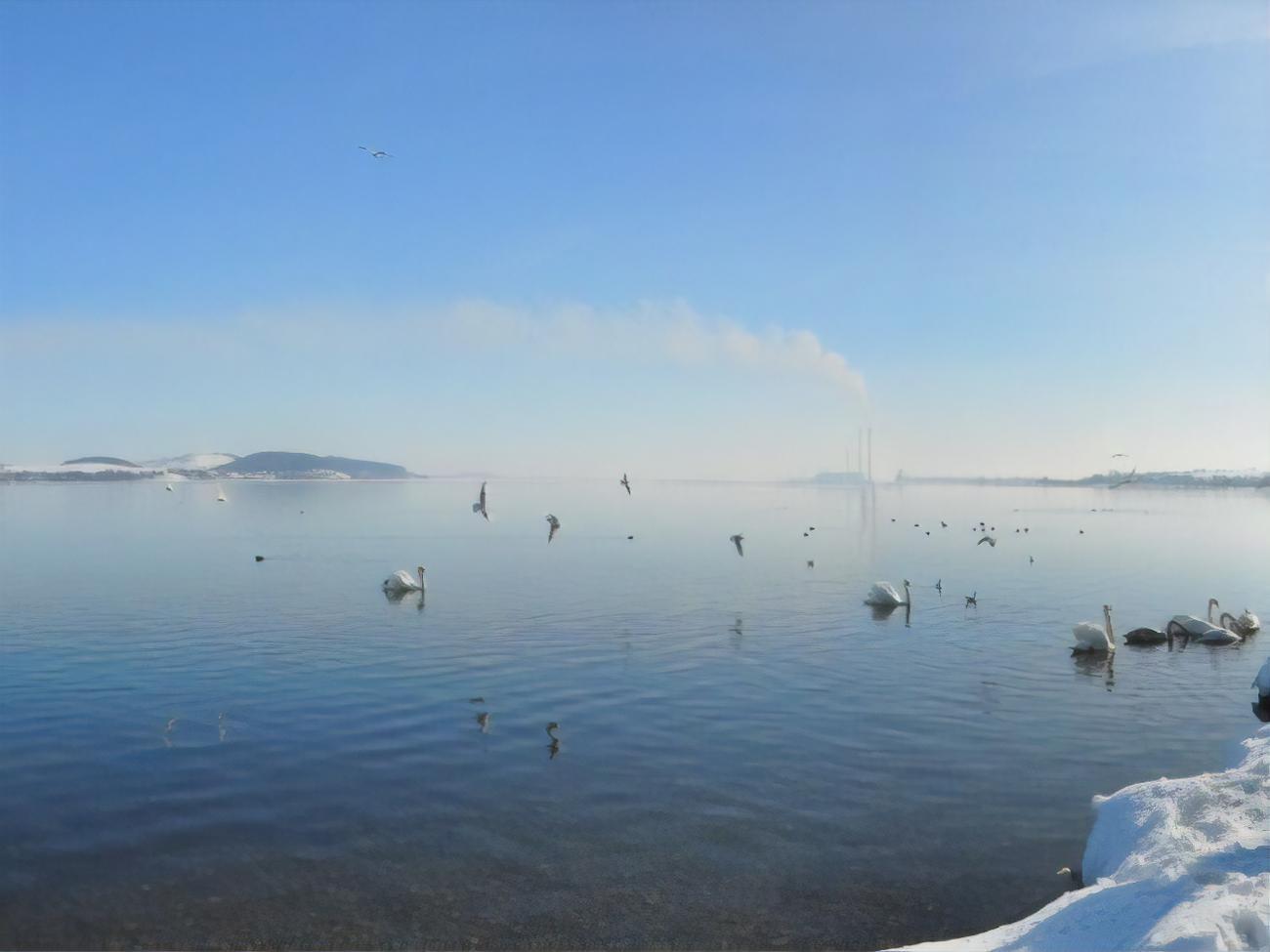 По сравнению с 2019 годом выбросы Бурштынской ТЭС уменьшились со 170 тыс. т до 110 тыс. т