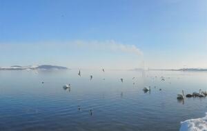 По сравнению с 2019 годом выбросы Бурштынской ТЭС уменьшились со 170 тыс. т до 110 тыс. т