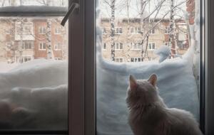 83 населенных пункта остались без света из-за аварии