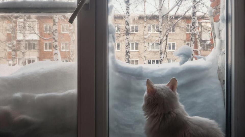 83 населенных пункта остались без света из-за аварии