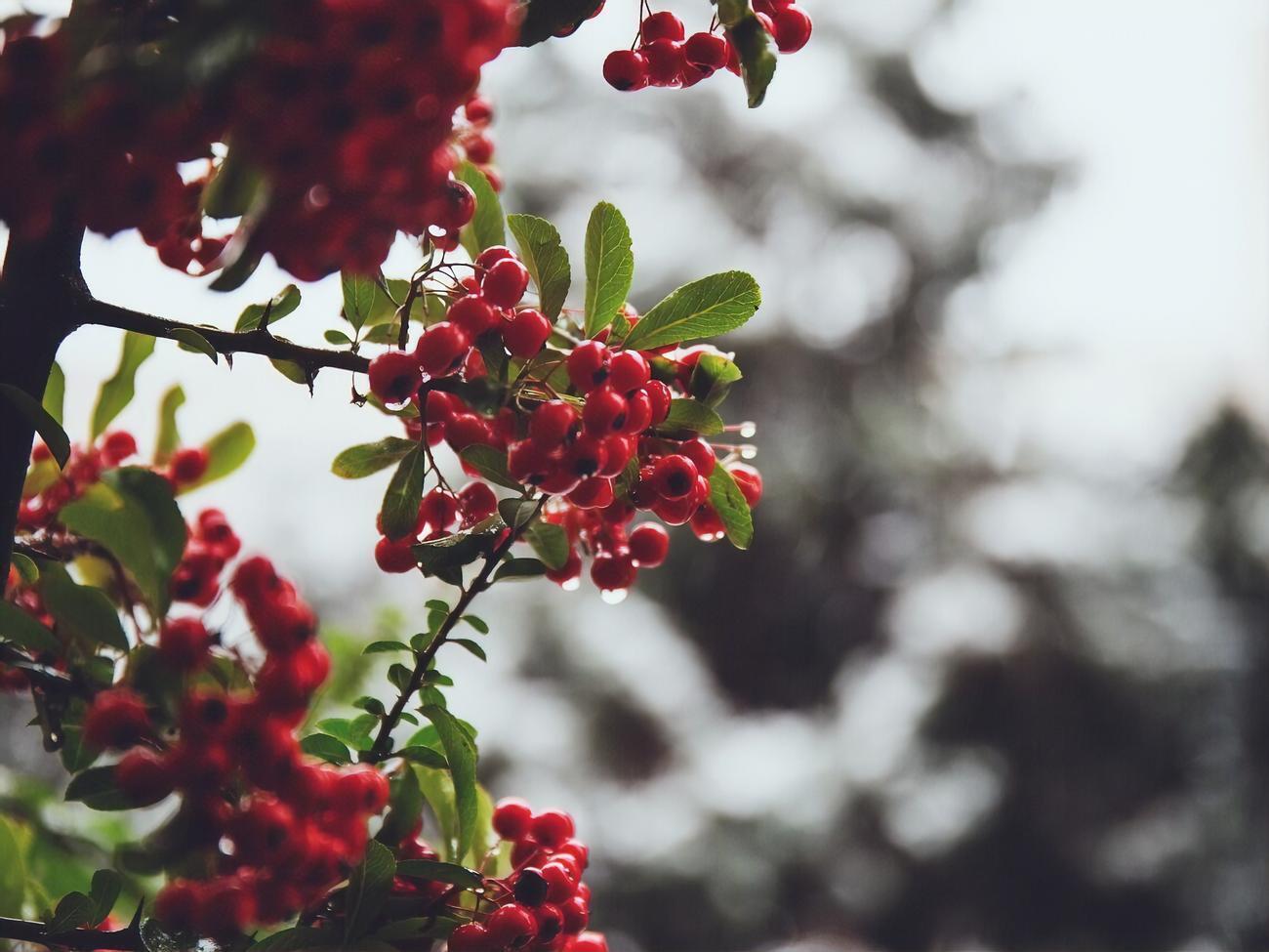 Самым холодным днем осени в Киеве стало 17 ноября