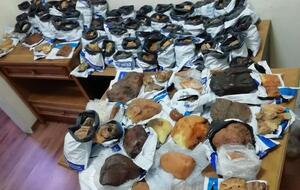 Янтарь находился в 88 полиэтиленовых сейф-пакетах