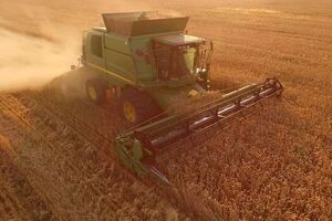 Зерновых и зернобобовых в 2021 году в Украине собрали более 84 млн тонн