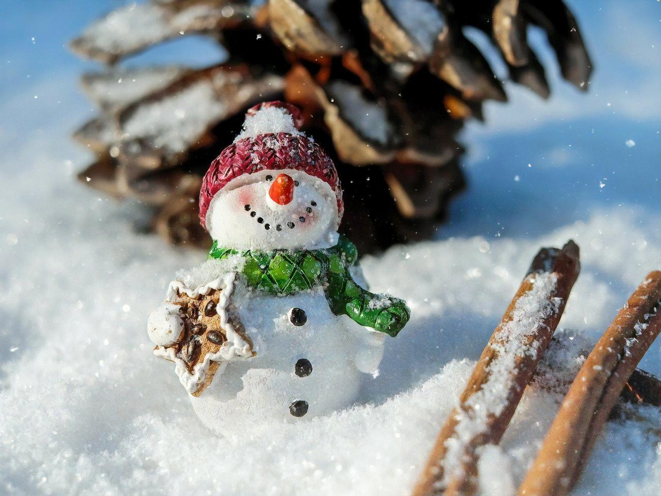 Тем, кто собирается лепить снеговика, советуют брать несколько пар перчаток