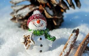 Тем, кто собирается лепить снеговика, советуют брать несколько пар перчаток