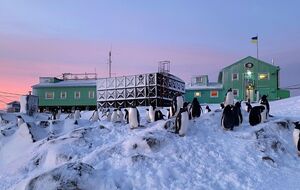 Новая экспедиция на станцию "Академик Вернадский" отправится в марте 2022 года