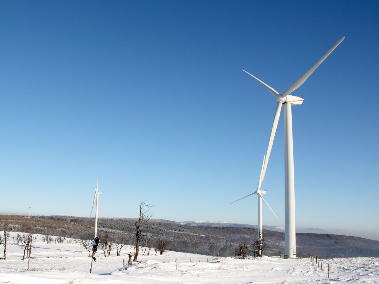 Компания ДТЭК ВИЭ заявила о дискриминации в погашении задолженности перед предприятиями "зеленой" генерации