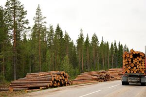 Виваженою позицією, здатною задовольнити інтереси українського ринку, у федерації вважають збереження тимчасової заборони на експорт та одночасне запровадження каскадного методу аукціонів на продаж сировини