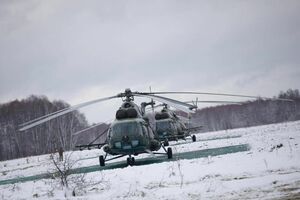 Госпогранслужба показала, как проходит спецоперация "Полесье" на украинско-белорусской границе. Фоторепортаж