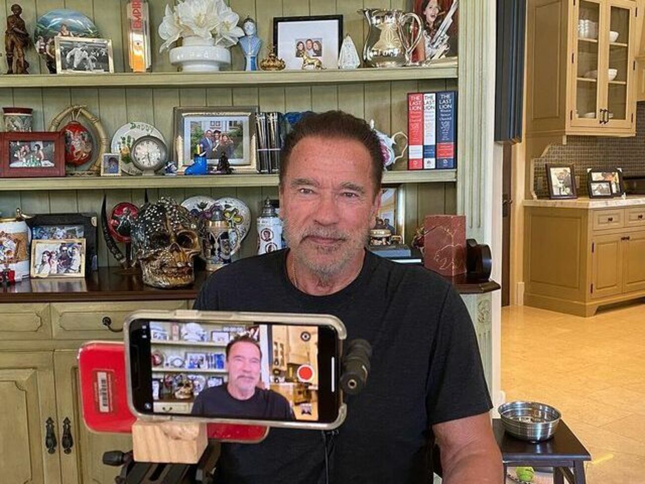 На встановлення невеликих будиночків Шварценеггер виділив приблизно $250 тис.