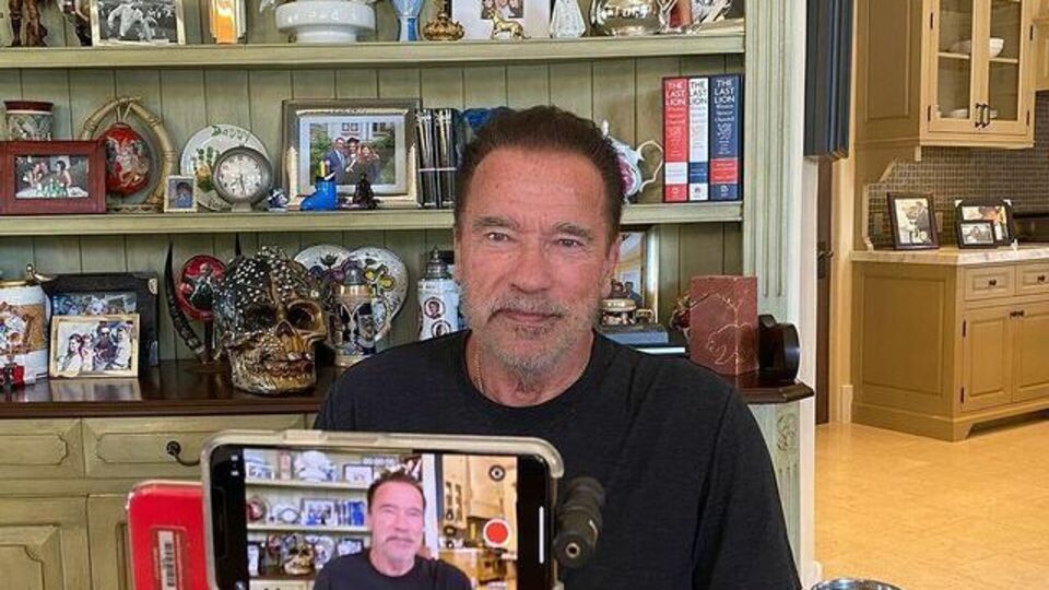 На установку небольших домиков Шварценеггер выделил около $250 тыс.