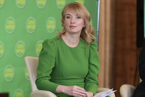Шуляк: Монобольшинство работает и, когда нужно, дает соответствующее количество голосов