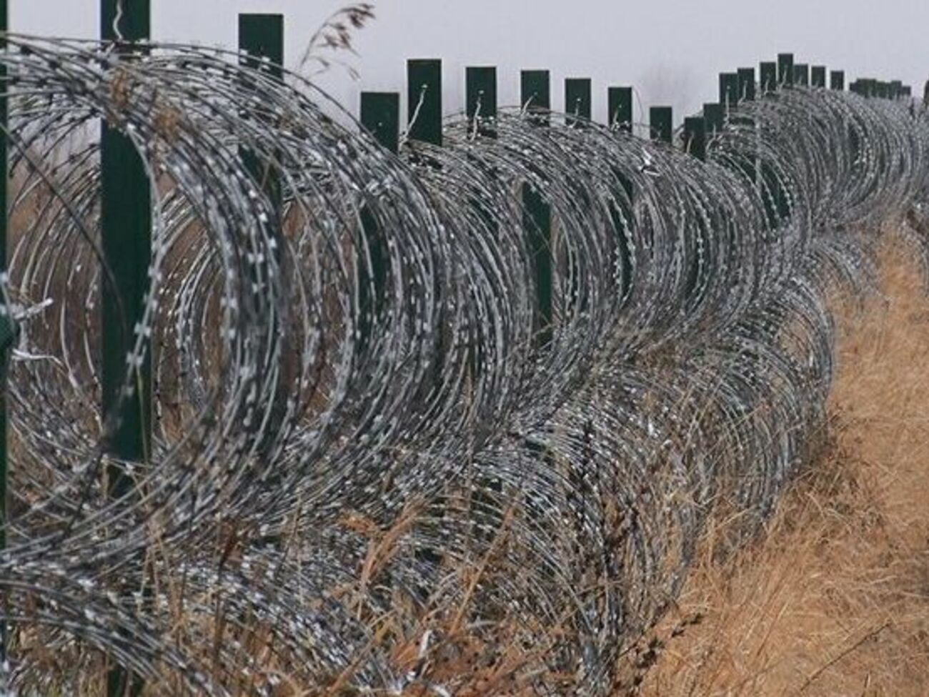 Особистого складу збройних сил та техніки для захисту кордону в Луганській області від російської агресії вистачить, запевняє керівництво Луганської ОДА