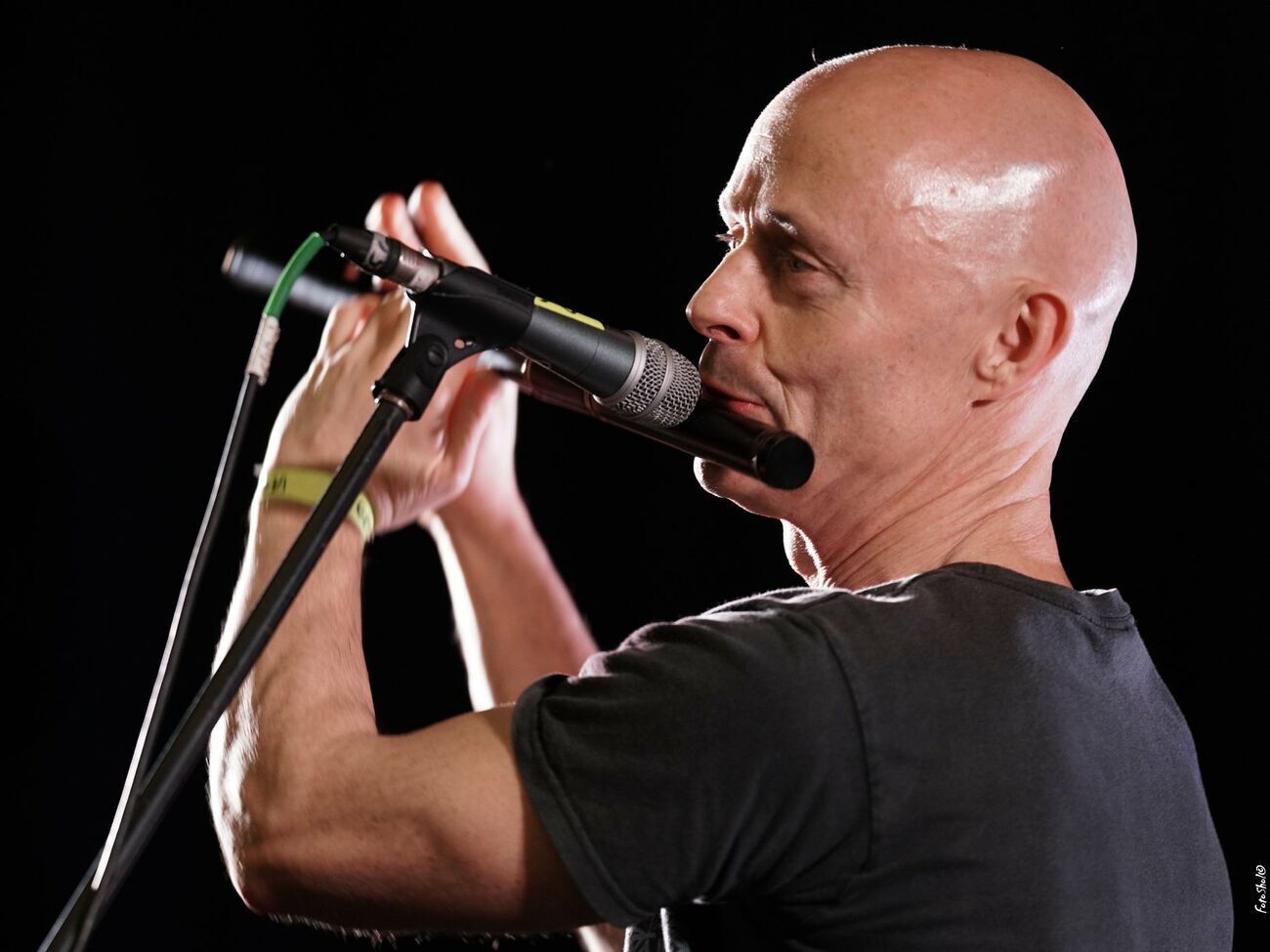 Финнеган не получил запрета на въезд в РФ и сможет приехать на следующие концерты, утверждает директор группы