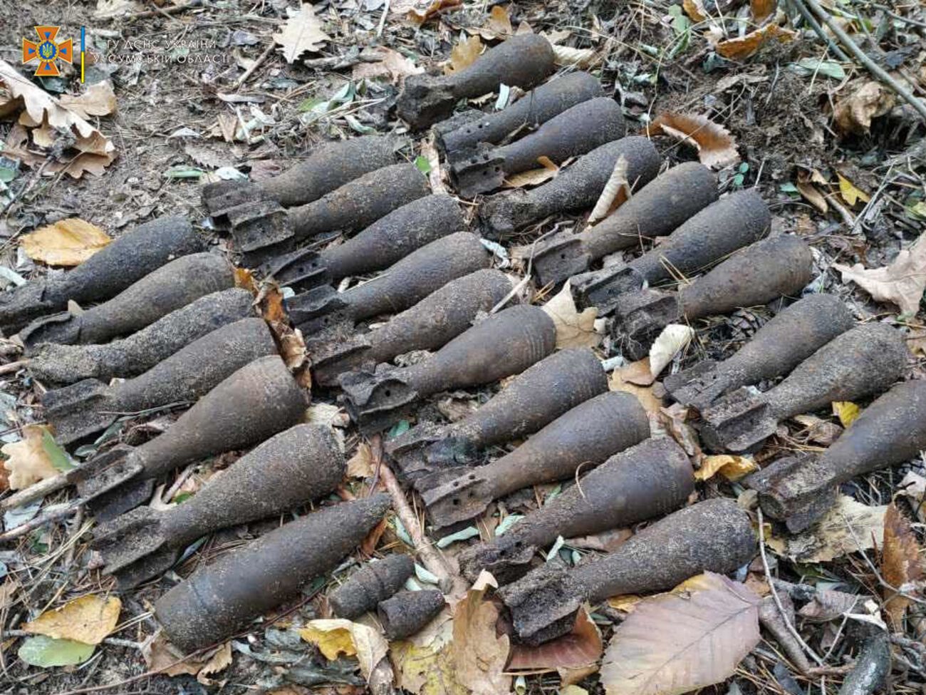 27 грудня в Донецькій області вилучили 55 снарядів
