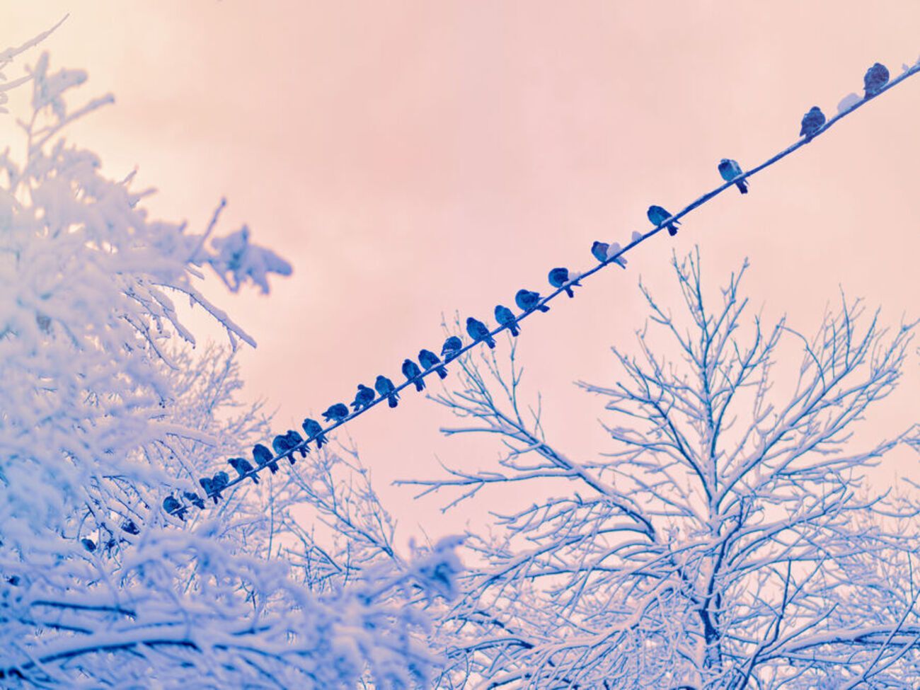 Через дощ та мокрий сніг без світла залишилися населені пункти у шести областях