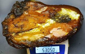 Найденный янтарь входит в десятку самых больших янтарных камней мира