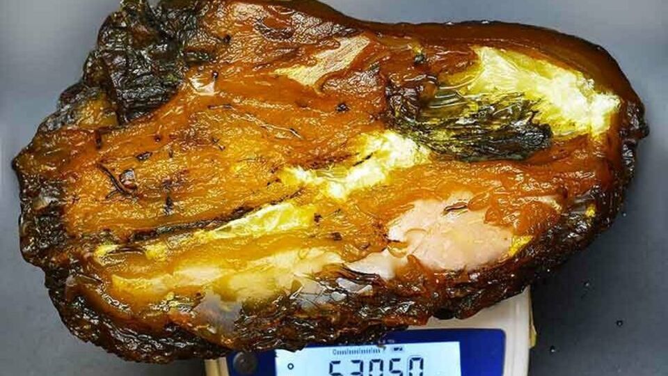 Найденный янтарь входит в десятку самых больших янтарных камней мира