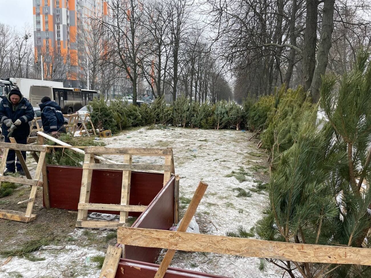 Больше всего&nbsp;нелегальных елочных базаров убрали в Деснянском и Дарницком районах Киева, отметили в КГГА