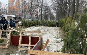 Больше всего нелегальных елочных базаров убрали в Деснянском и Дарницком районах Киева, отметили в КГГА