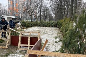 Больше всего нелегальных елочных базаров убрали в Деснянском и Дарницком районах Киева, отметили в КГГА