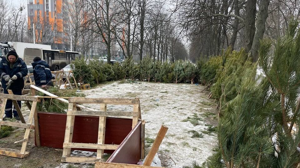 Больше всего нелегальных елочных базаров убрали в Деснянском и Дарницком районах Киева, отметили в КГГА