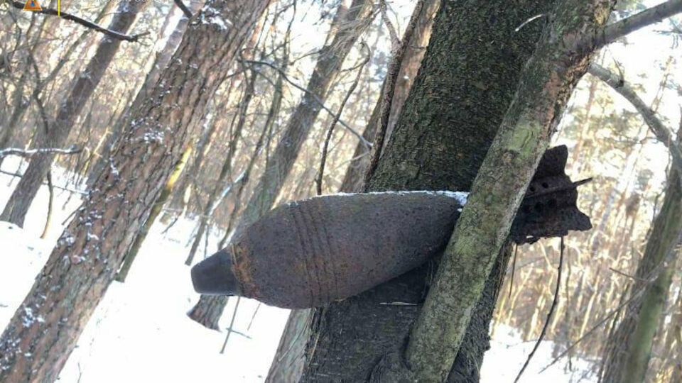 По словам спасателей, устаревший боеприпас на дерево кто-то повесил