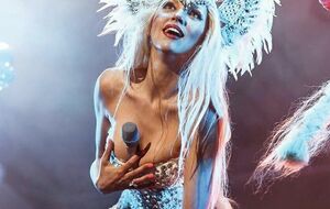 Полякова: Проблема длинного брака в том, что поднять комбайн ради одного колоска немножко лень