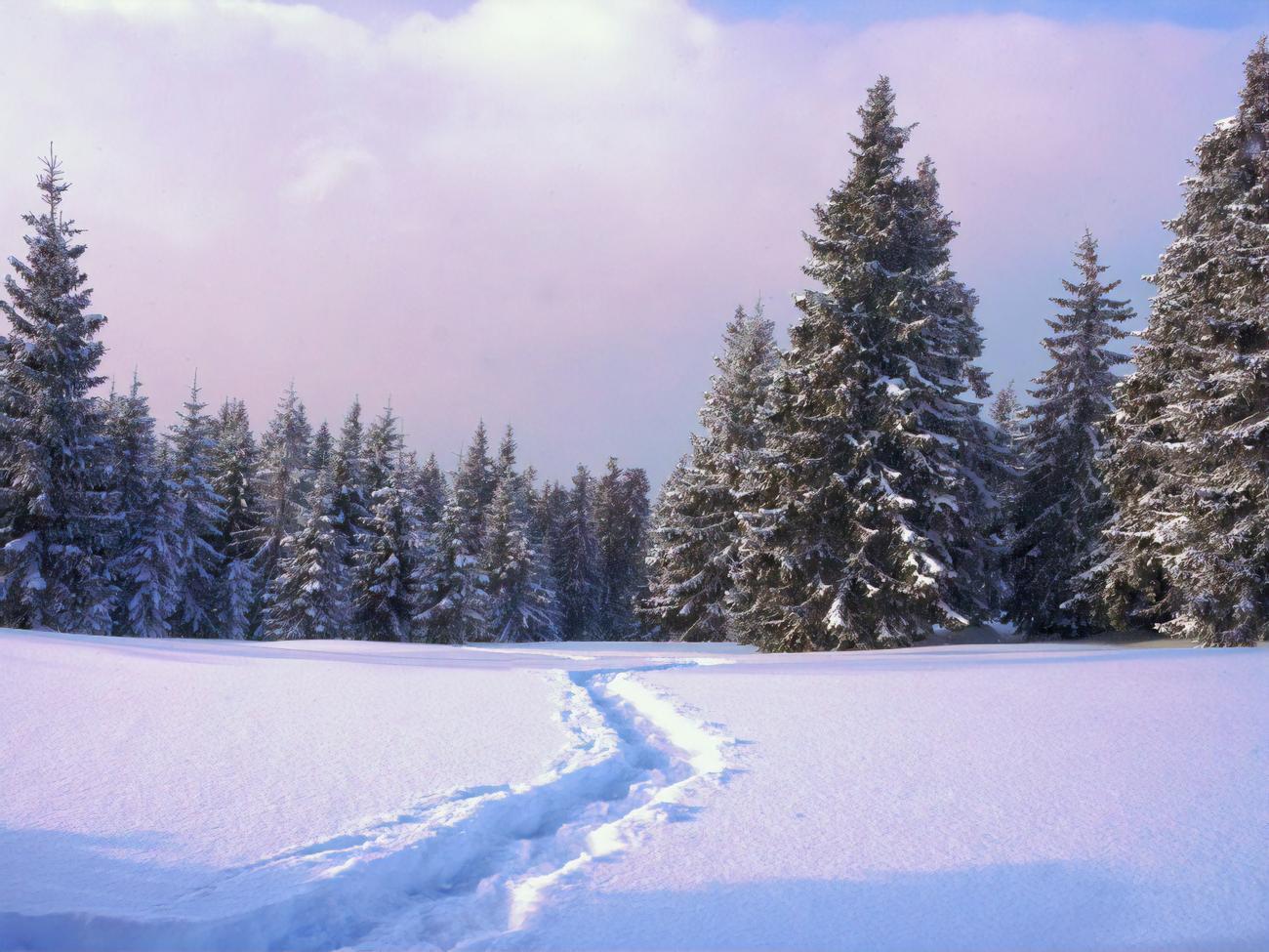 В Карпатах ожидается значительный прирост снежного покрова
