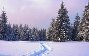 У Карпатах очікують на значний приріст снігового покриву