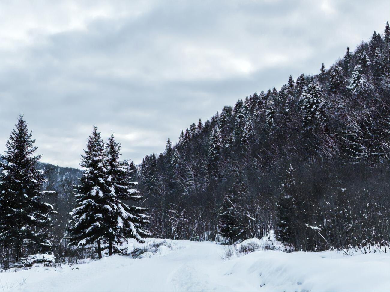 В Карпатах ожидается снег