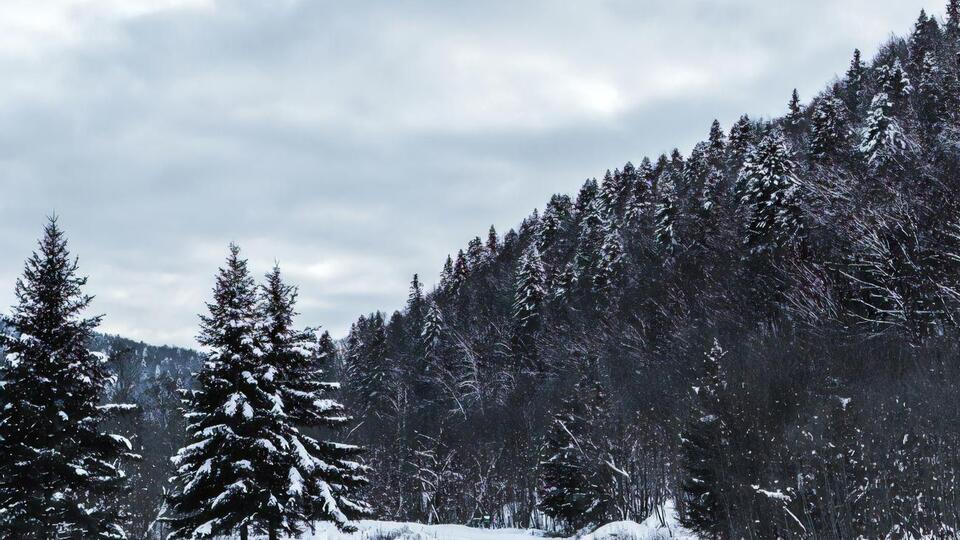 В Карпатах ожидается снег