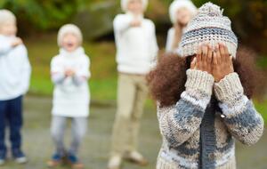 Законопроект о школьном буллинге передадут в Сенат в феврале