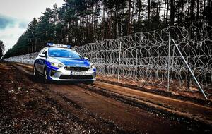 Польские пограничники ежедневно сообщают о попытках нелегального пересечения границы