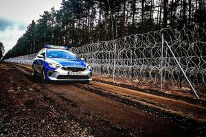 Польские пограничники ежедневно сообщают о попытках нелегального пересечения границы