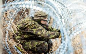 Другие страны помогают Польше с укреплением границы