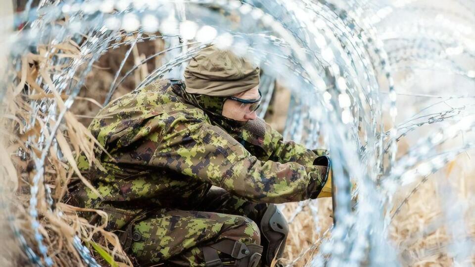 Другие страны помогают Польше с укреплением границы