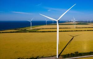 Выплаты по долгам получили все компании, кроме ДТЭК ВИЭ