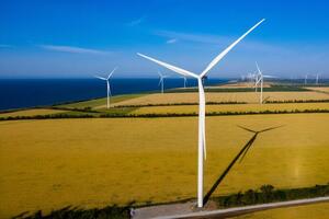 Выплаты по долгам получили все компании, кроме ДТЭК ВИЭ