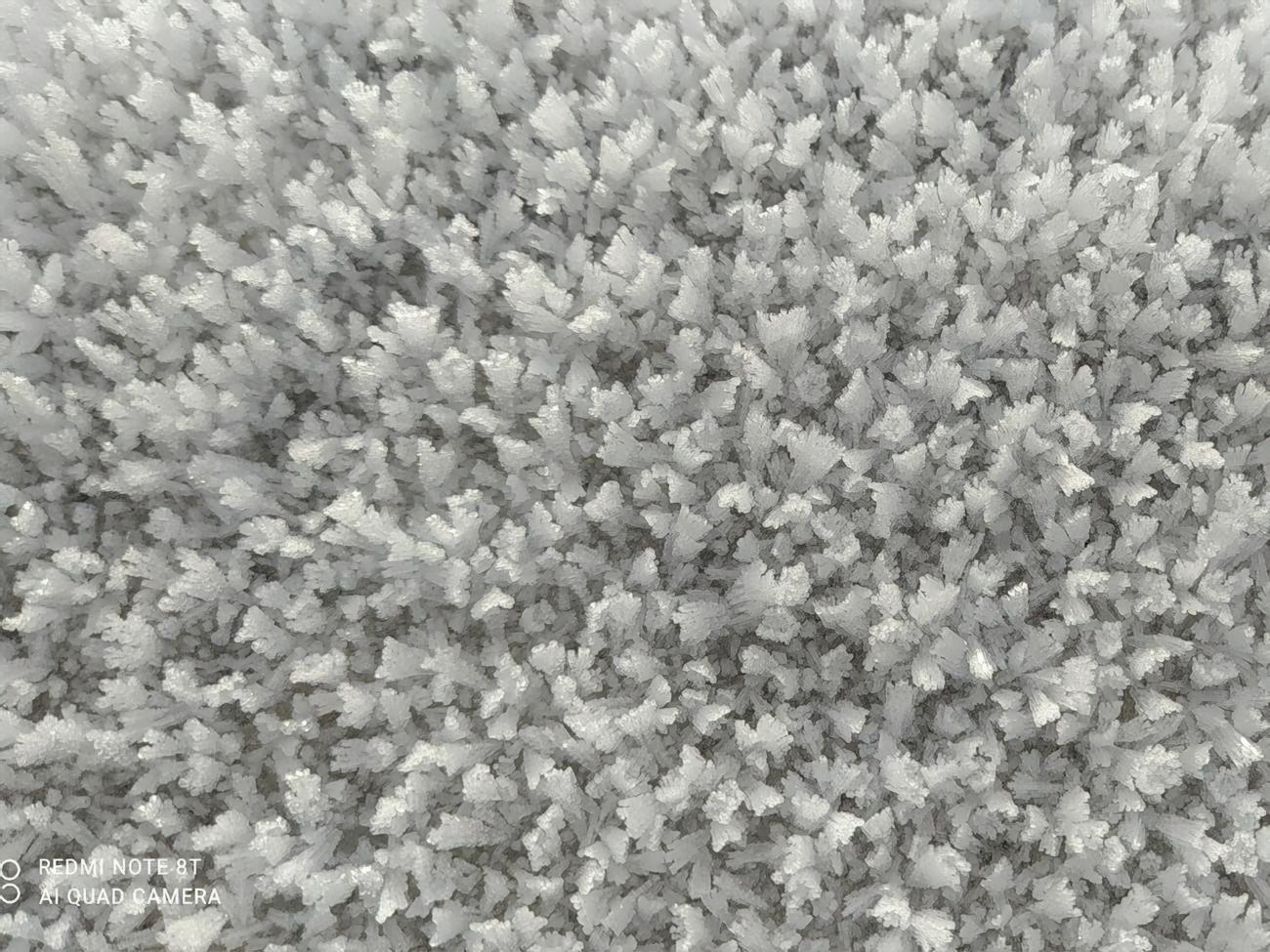 Кристаллическая изморозь образуется при наличии тумана в безветренную погоду