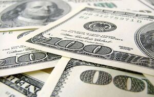 В базе данных есть информация о более чем 800 тыс. компаний со статусом офшорных зон